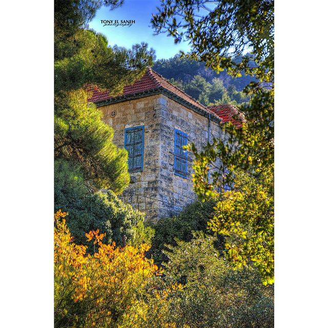  beautifulnature  beautifullebanon  naturephotography  nature ...