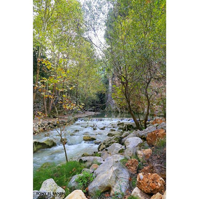  beautifulnature  beautifullebanon  naturephotography  nature ... (Yahchouch Valley - Nahr Ibrahim)