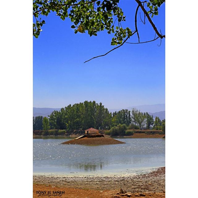  beautifulnature  beautifullebanon  naturephotography  nature ... (Lac De Taanayel)