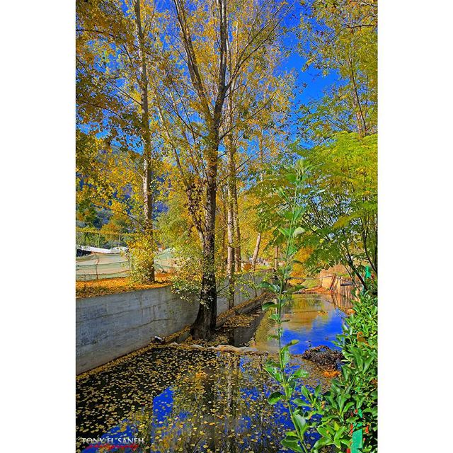  beautifulnature  beautifullebanon  naturephotography  nature ...