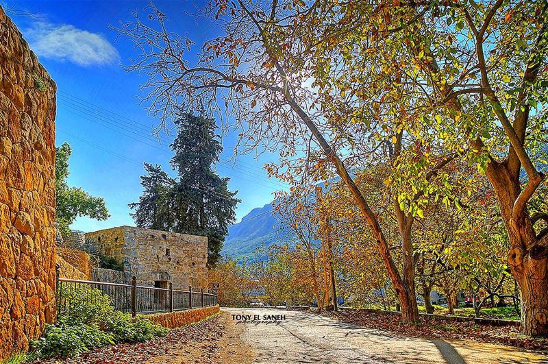  beautifulnature  beautifullebanon  naturephotography  nature ... (Kfarhelda)