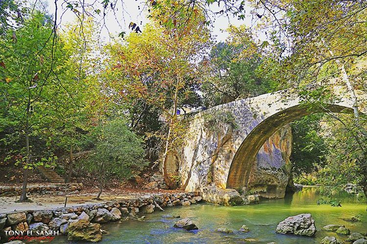  beautifulnature  beautifullebanon  naturephotography  nature ... (Yahchouch Valley - Nahr Ibrahim)