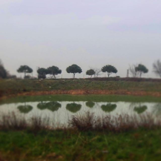 beautifulnature treestyle reflection lake lac verdure wintertime