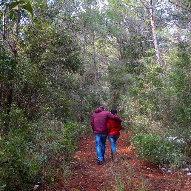 beautifunature livelovehardine verdurenatureverte wintertime greenery forestgreen lovecouple