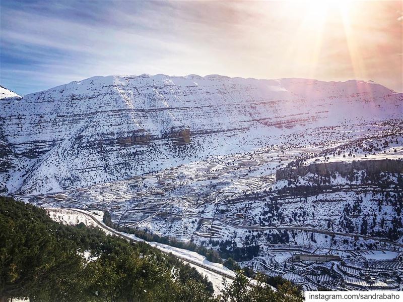 Beautifying everything it covers ❄️......... lebanon ... (LA FORET DES CHENES)