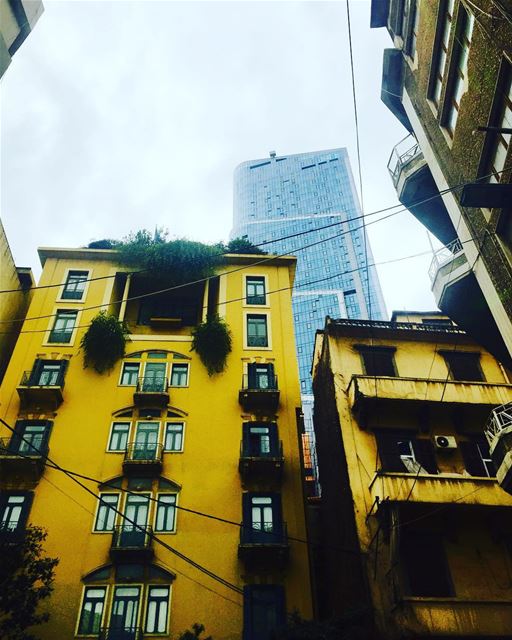Beauty and the beast  lebanon  beirut  vscocam  beautifuldestinations ... (Beirut, Lebanon)