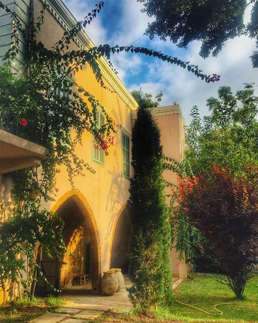 Beauty in Batroun 🌼💛🌻 livelovelebanon ... (Batroûn)
