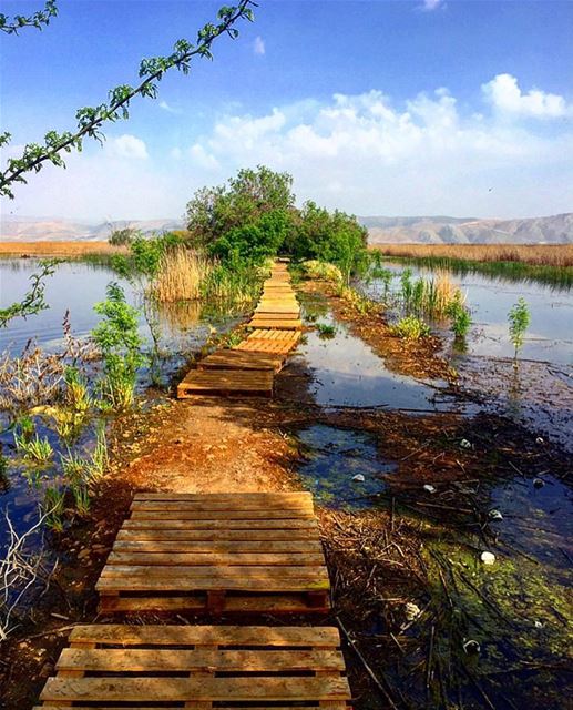 Beauty is around the corner everywhere you go in  lebanon 🍃🌿🇱🇧🌿🍃... (`Ammiq, Béqaa, Lebanon)