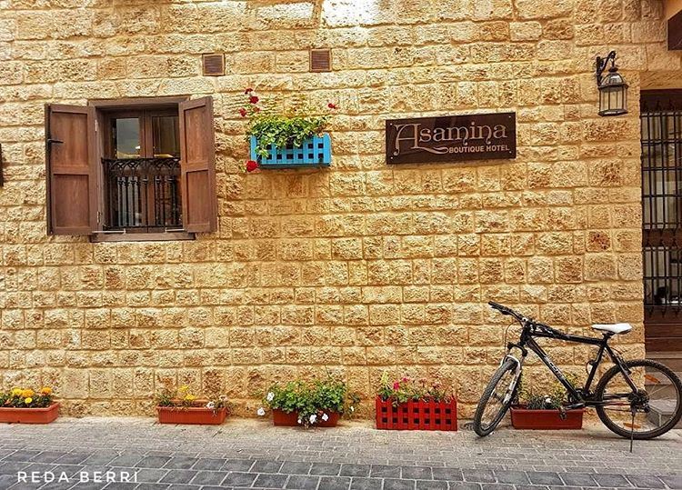 Beauty is everywhere tyre  lebanon  livelovetyre  livelovesouth ... (Tyre, Lebanon)