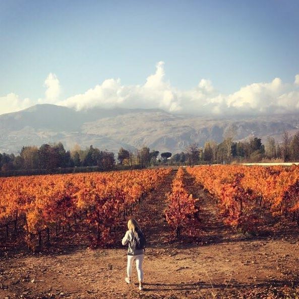 Beauty is not in the face ; beauty is a light in the heart ...... (Deïr Taanâyel, Béqaa, Lebanon)