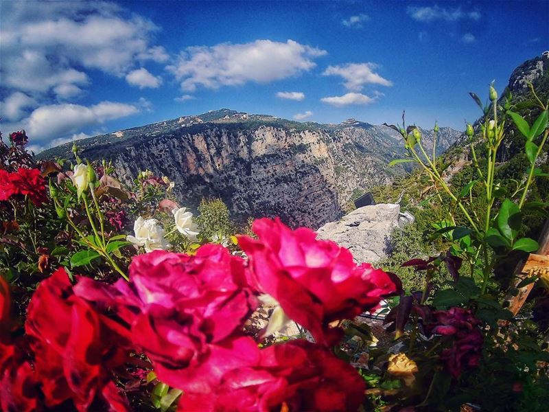 Beauty  perception 🌹 cloudscape....... lebanonblog ... (Yahchouch)