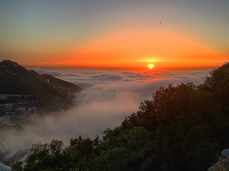 Because someone we love is in  Heaven 💙.. sun  fog  clouds  nature ... (Maarab)