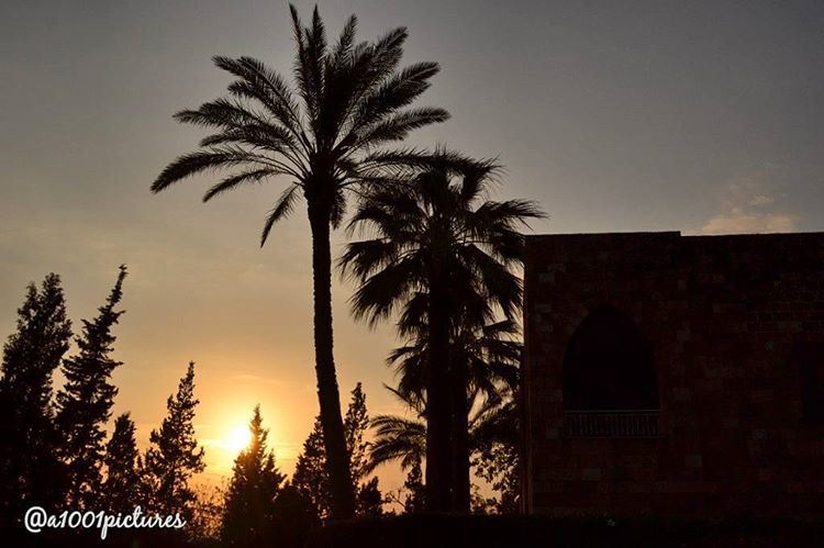 Because when you stop and look around, this life is pretty amazing."Dr.... (Byblos, Lebanon)