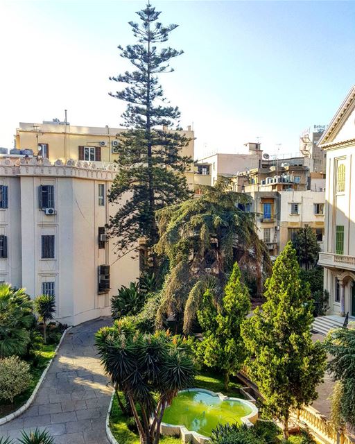 Bedroom view 🙆‍♀️  hiddenbeirut ... Lebanon  beirut  urbanjungle ...