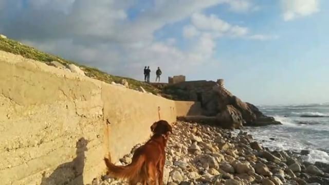 Beera scouts the way and leads us to the rocky shoreline camouflaged in...