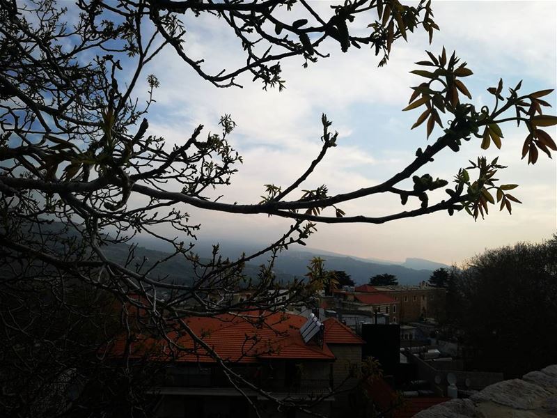 "Behind every tree there s a  Monster" tb  springvibes spring2017 ehden... (Ehden, Lebanon)