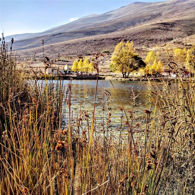 Behind the scenes.. autumn  colors  livelovelebanon  nationalart ... (Oyoun Orghouch)