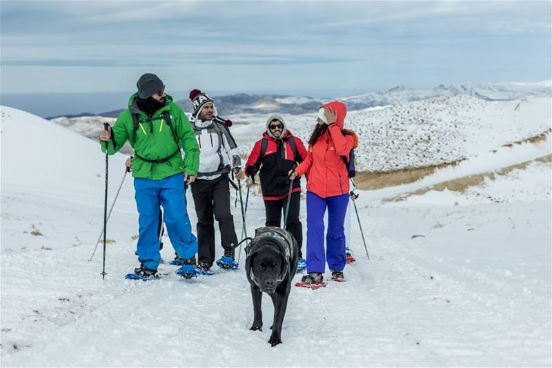 Beid b2awarma anyone?  SnowShoeing  EnzoMyBlackLab📸: @haigmelikian.....