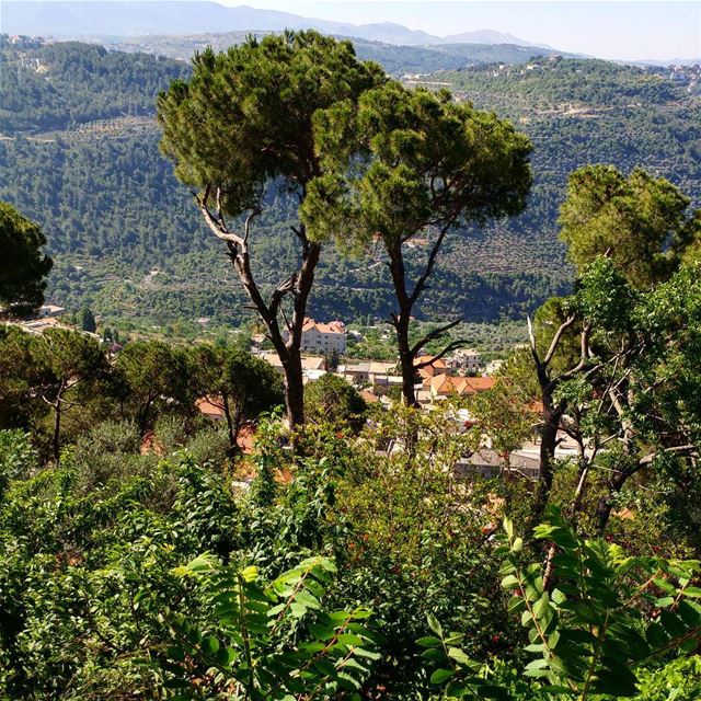Being down in the valley or up on a hill? I'd pick up on the hill.  scenic... (Dayr Al Qamar, Mont-Liban, Lebanon)