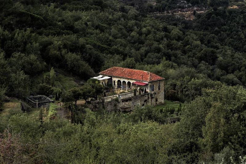 Being surrounded by beauty.............  livelovebeitchabab ... (Beït Chabâb, Mont-Liban, Lebanon)