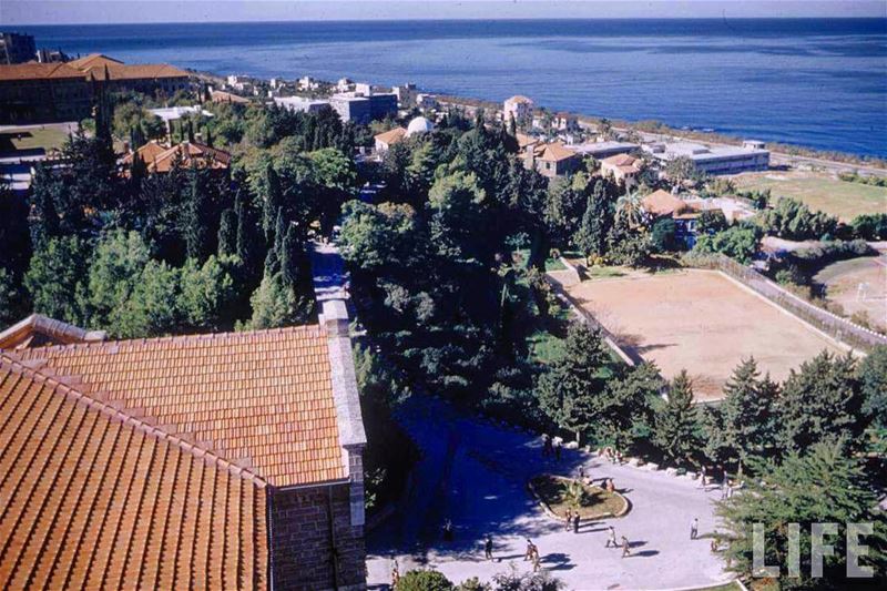 Beirut AUB 1953