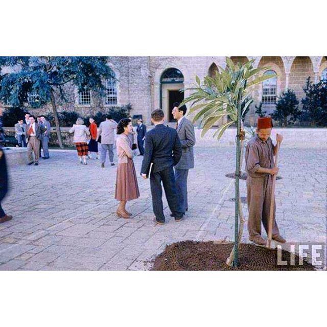 Beirut AUB 1955 ,