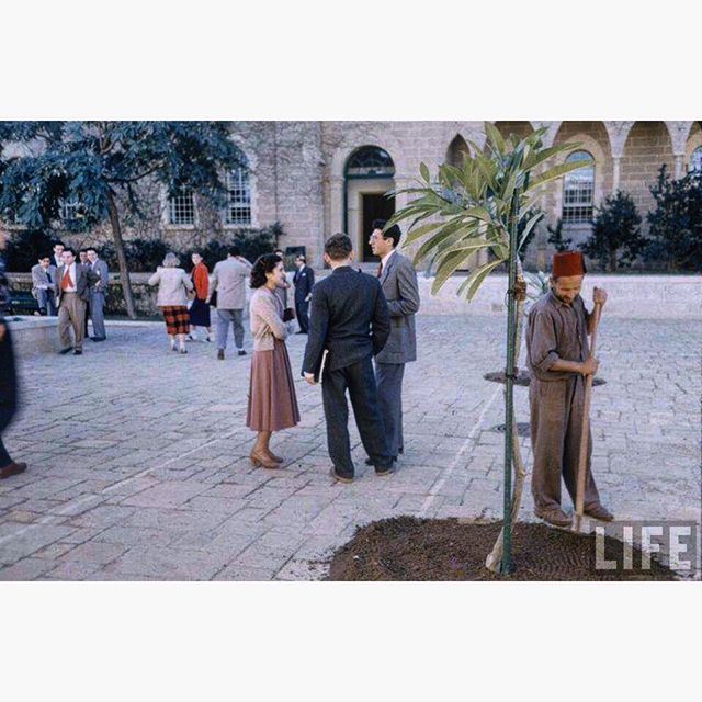 Beirut AUB - 1958 .