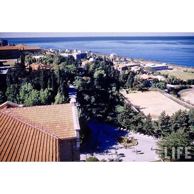Beirut AUB In 1953 ,
