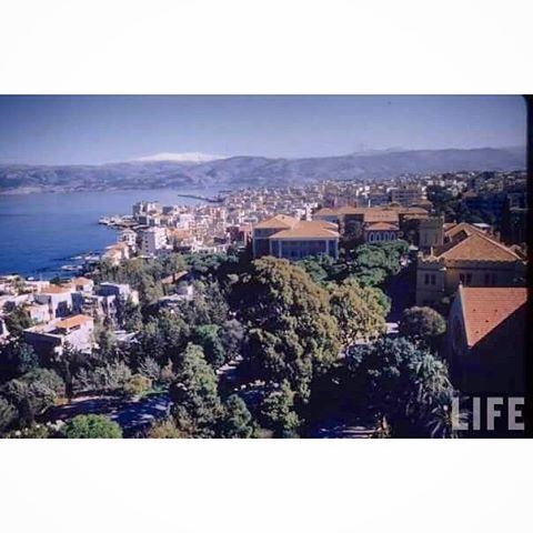 Beirut AUB In 1953 .