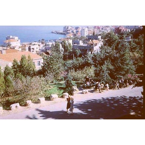 Beirut AUB In 1955 .