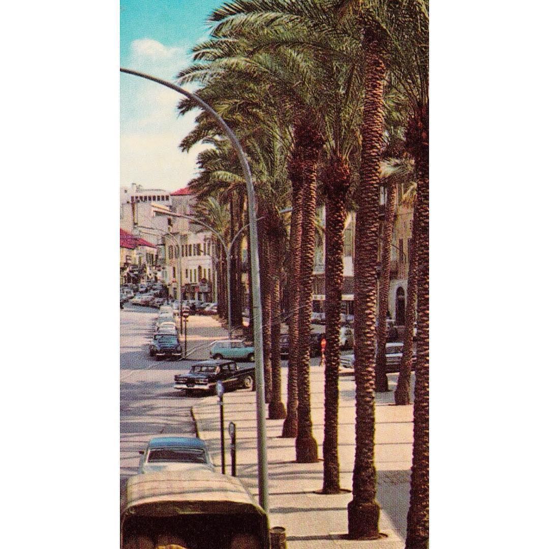  Beirut Avenue des français 1961
