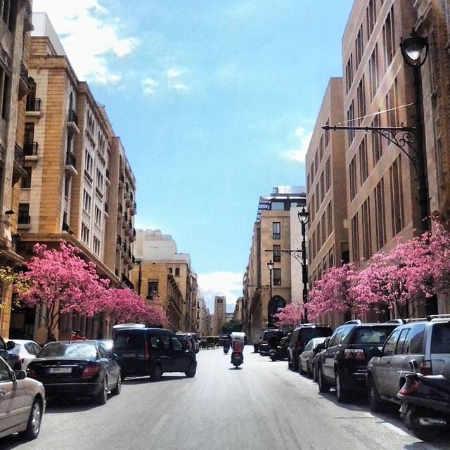 Beirut beauty...  ﻟﺒﻨﺎﻥ Beirut  Beyrouth  zaytounabay  ig_lebanon ...