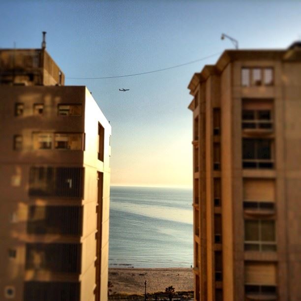 Beirut Bronze  late  summer  afternoons  ramletelbayda  beirut  lebanon ...