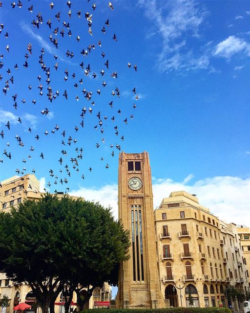 Beirut - Downtown .. beirut  lebanon  downtown  sky  parlimantwatch ... (Parliament of Lebanon)