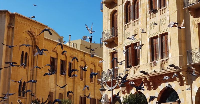 Beirut DT 🇱🇧  natgeoyourshot natgeolebanon beirut livelovebeirut ... (Beirut, Lebanon)