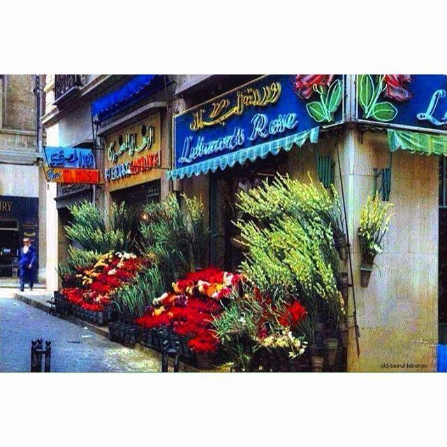 Beirut Flowers Market Near Bab Idriss 1964 .