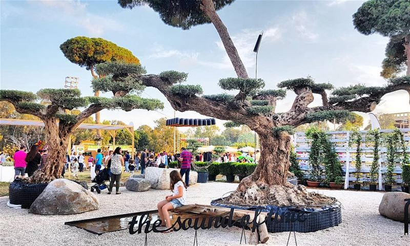  beirut  gardenshow  landscape  eyesoflebanon  meetlebanon  lebanonpics ... (Beirut Hippodrome)