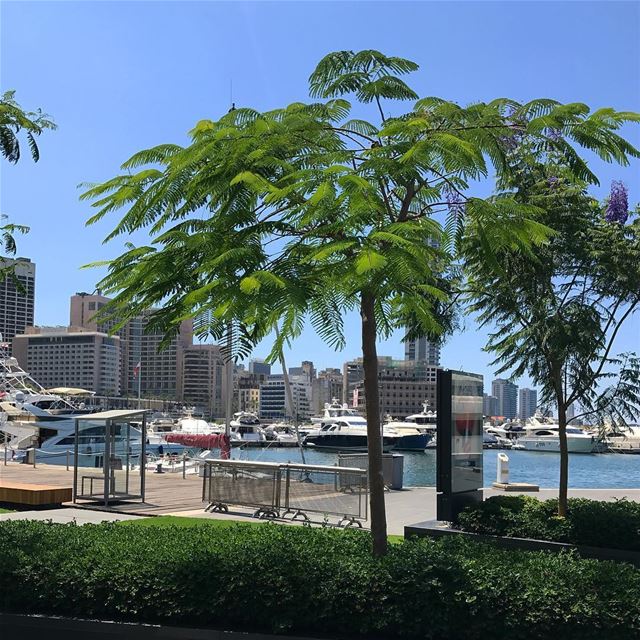 [BEIRUT]  lebanon  yacht  skyline  sky  tb  travel  travelpic  travelgram ... (Beirut, Lebanon)