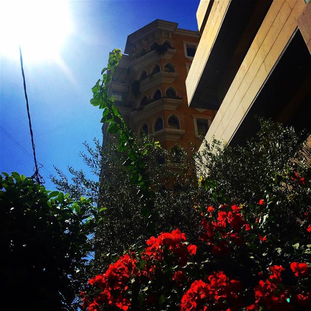  beirut  love  lebanon  lebanonspotlights  picoftheday  tbt  tagsforlike ... (Hamra Street, Beirut)