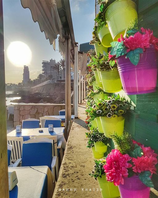 Beirut Mornings..🌸♥️💐 * insta_lebanon  ig_lebanon  lebanon_pictures ... (Manara Palace Café)