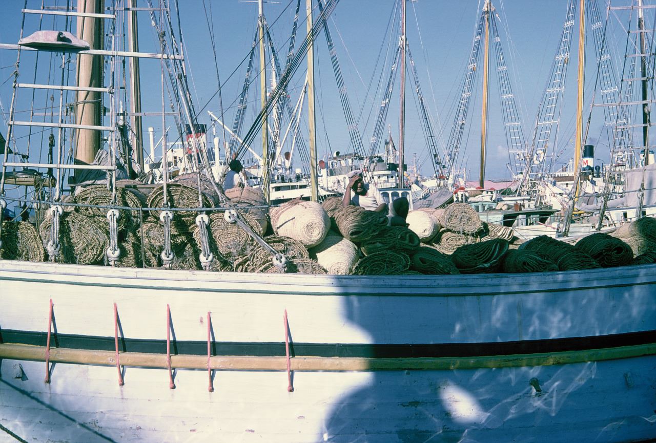 Beirut Port  1963