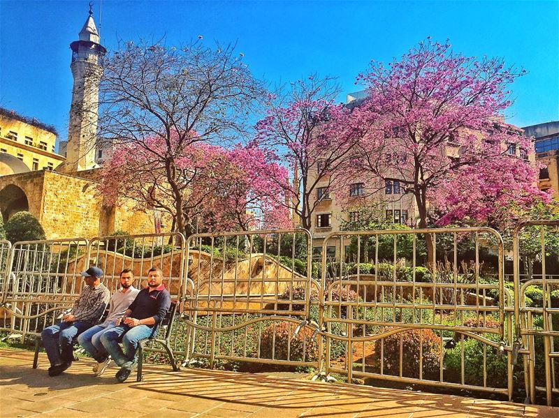 Beirut spring 🌸  livelovelebanon ... (Beirut, Lebanon)