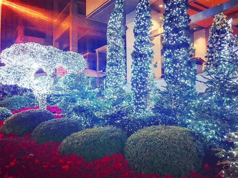 Beirut Streets glowing everywhere 🌟♥️🎄 @beirutpage @insta_lebanon @beirut (Beirut, Lebanon)