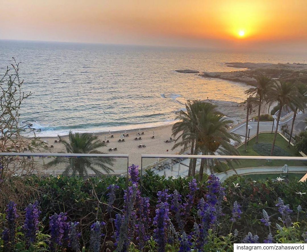  beirut sunset lebanon livelovebeirut beirut instapic picoftheday ... (Mövenpick Hotel & Resort Beirut)