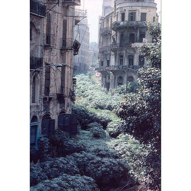Beirut The Green Line - 1982 .