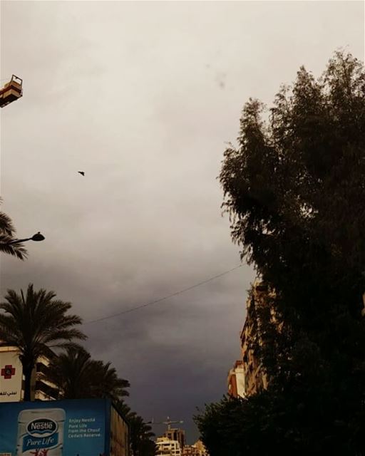  beirut  today  morning  storm  winter  december  hellodecember  clouds ...