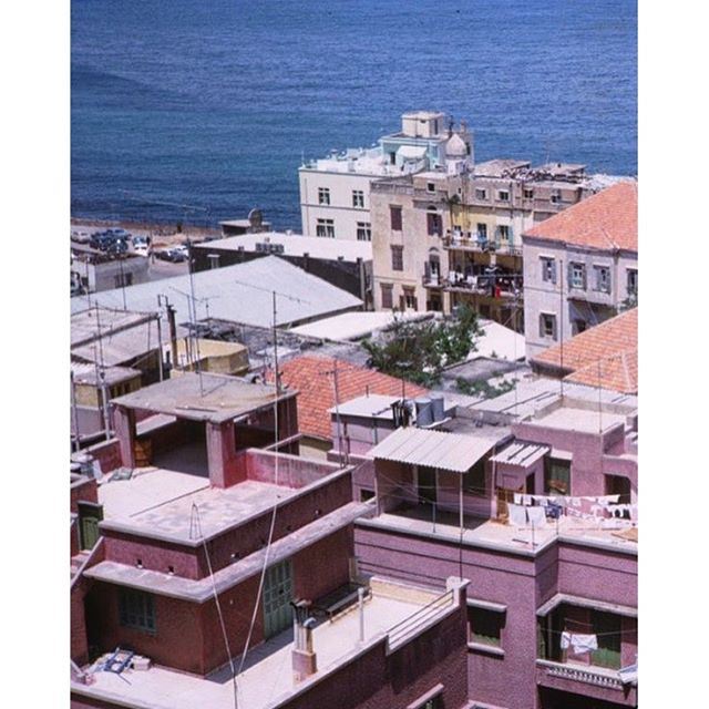 Beirut View Northward From Top of Starco Building .