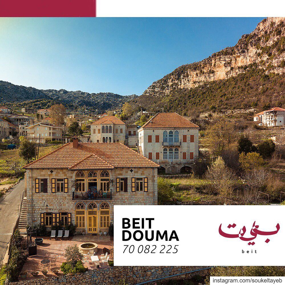 Beit is the latest step in the Souk El Tayeb journey which began in 2004....