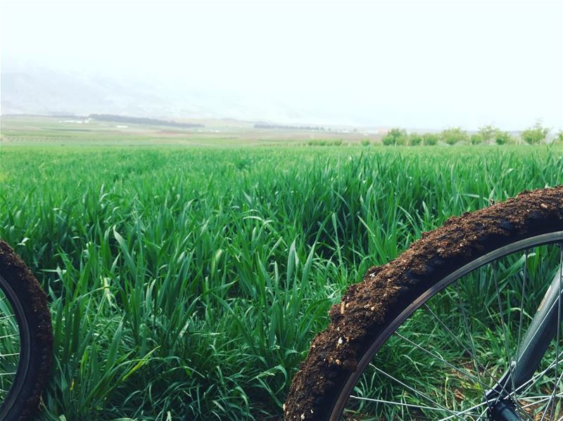  bekaa  offroad  lebanon  livelovelebanon  @cyclingcircle