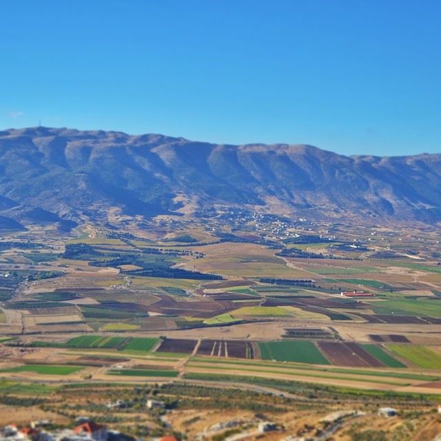 Bekaa valley. Shot taken by me. (  proudlylebanese  green  lebanon ...